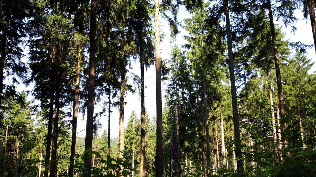 20210628_092957_resized 20210628_092957_resized